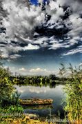 Meet Carp Romanian Awards - 2012